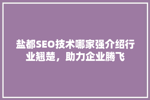 盐都SEO技术哪家强介绍行业翘楚，助力企业腾飞