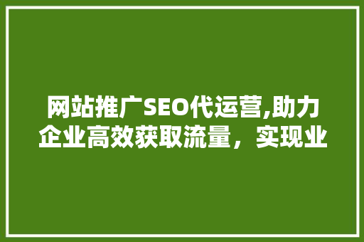 网站推广SEO代运营,助力企业高效获取流量，实现业绩飞跃