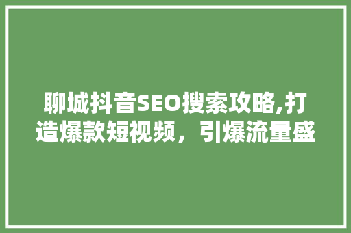 聊城抖音SEO搜索攻略,打造爆款短视频，引爆流量盛宴