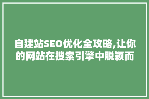 自建站SEO优化全攻略,让你的网站在搜索引擎中脱颖而出