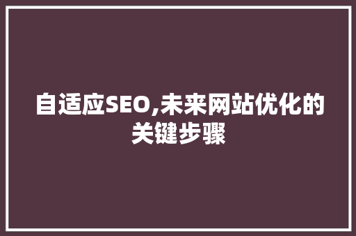 自适应SEO,未来网站优化的关键步骤