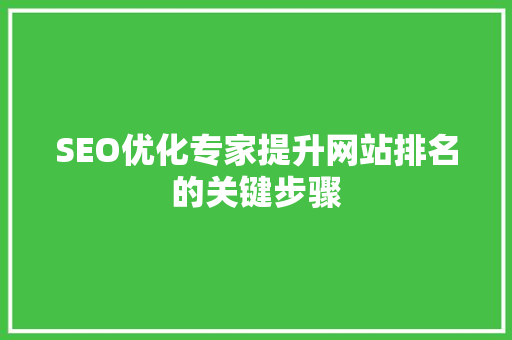 SEO优化专家提升网站排名的关键步骤