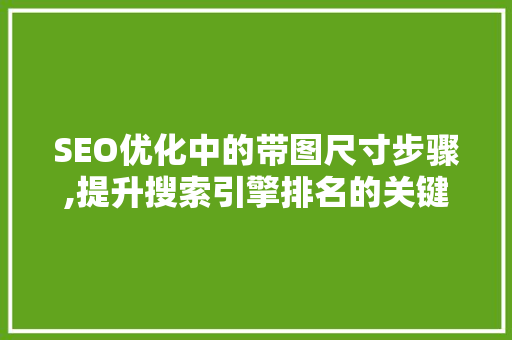 SEO优化中的带图尺寸步骤,提升搜索引擎排名的关键