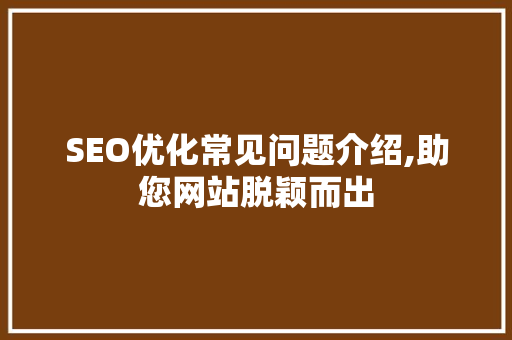 SEO优化常见问题介绍,助您网站脱颖而出