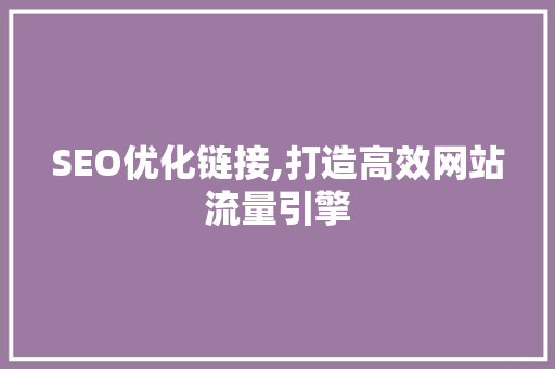 SEO优化链接,打造高效网站流量引擎 网站开发