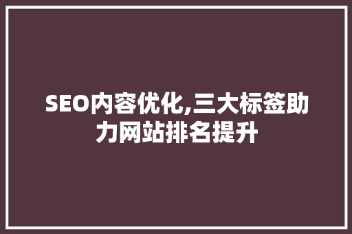 SEO内容优化,三大标签助力网站排名提升