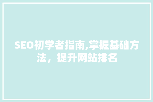 SEO初学者指南,掌握基础方法，提升网站排名 seo技术