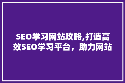 SEO学习网站攻略,打造高效SEO学习平台，助力网站优化与排名提升 网站优化