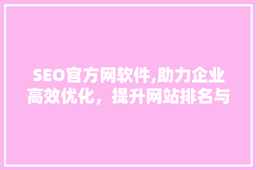 SEO官方网软件,助力企业高效优化，提升网站排名与流量 seo技术