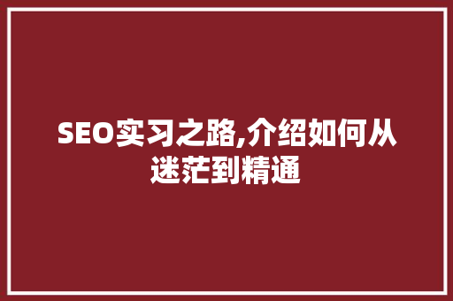 SEO实习之路,介绍如何从迷茫到精通