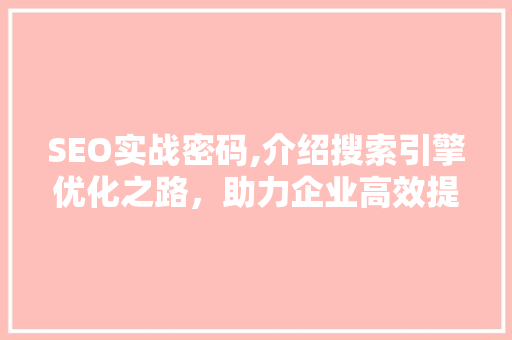 SEO实战密码,介绍搜索引擎优化之路，助力企业高效提升网站排名