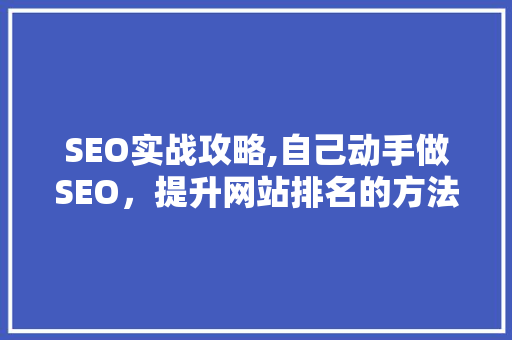 SEO实战攻略,自己动手做SEO，提升网站排名的方法 seo技术