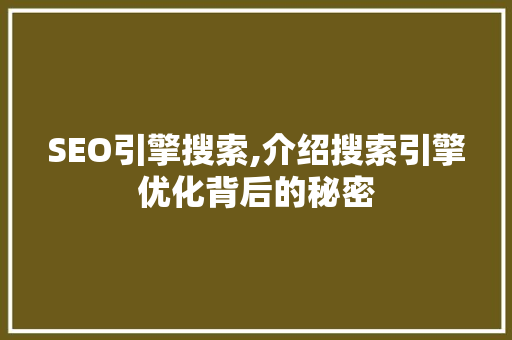 SEO引擎搜索,介绍搜索引擎优化背后的秘密 网站开发