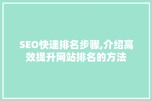SEO快速排名步骤,介绍高效提升网站排名的方法