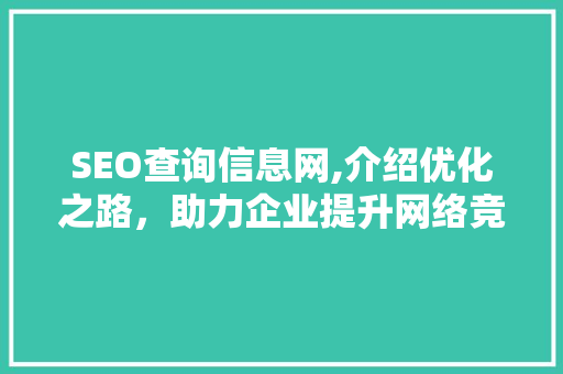 SEO查询信息网,介绍优化之路，助力企业提升网络竞争力