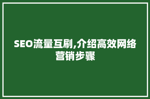 SEO流量互刷,介绍高效网络营销步骤