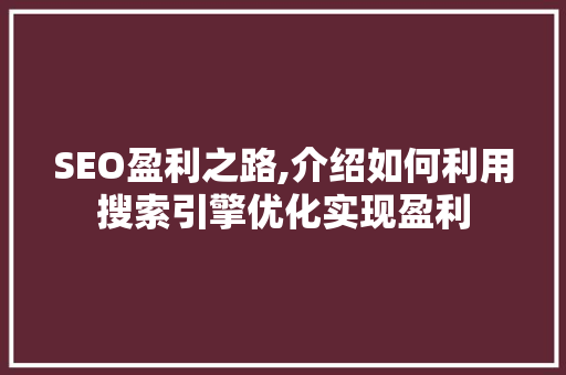 SEO盈利之路,介绍如何利用搜索引擎优化实现盈利
