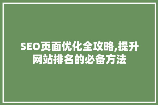 SEO页面优化全攻略,提升网站排名的必备方法 网站开发