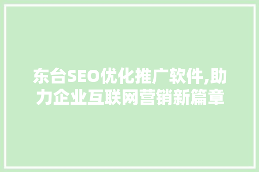 东台SEO优化推广软件,助力企业互联网营销新篇章