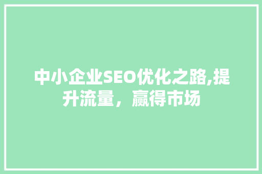 中小企业SEO优化之路,提升流量，赢得市场