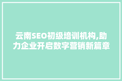 云南SEO初级培训机构,助力企业开启数字营销新篇章