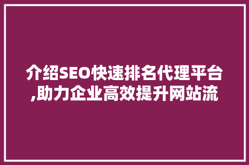 介绍SEO快速排名代理平台,助力企业高效提升网站流量与排名 网站开发