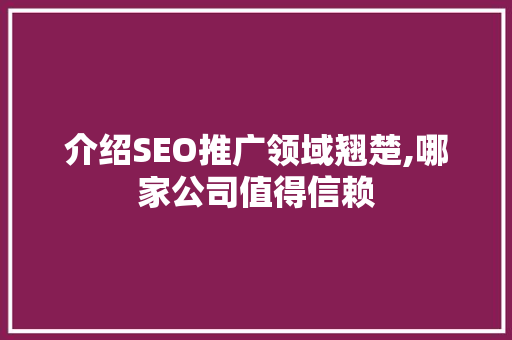 介绍SEO推广领域翘楚,哪家公司值得信赖