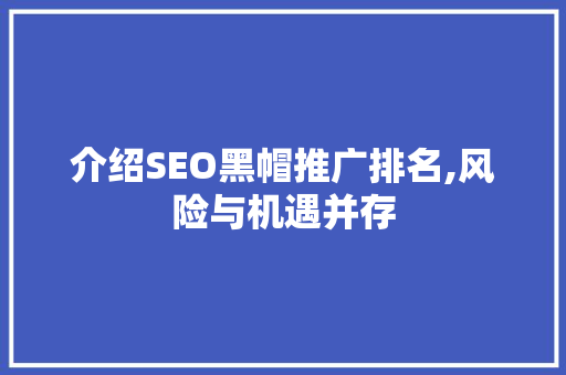 介绍SEO黑帽推广排名,风险与机遇并存