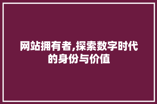 网站拥有者,探索数字时代的身份与价值 网站拥有者,探索数字时代的身份与价值 网站开发