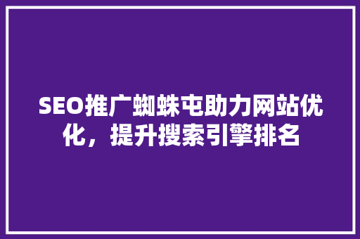 SEO推广蜘蛛屯助力网站优化，提升搜索引擎排名