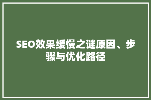 SEO效果缓慢之谜原因、步骤与优化路径