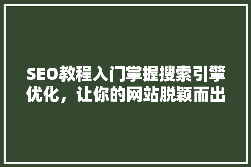 SEO教程入门掌握搜索引擎优化，让你的网站脱颖而出