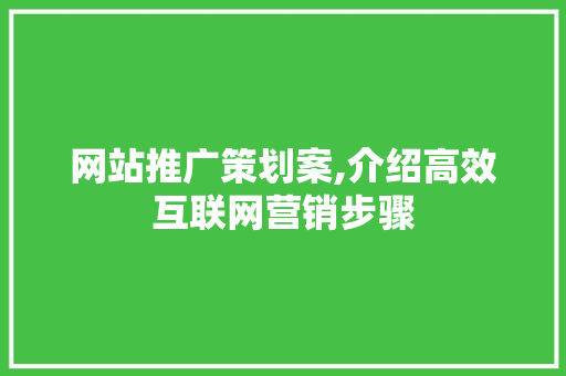 网站推广策划案,介绍高效互联网营销步骤 网站推广策划案,介绍高效互联网营销步骤 网站优化
