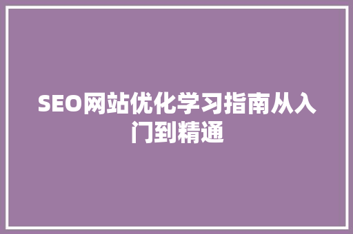 SEO网站优化学习指南从入门到精通