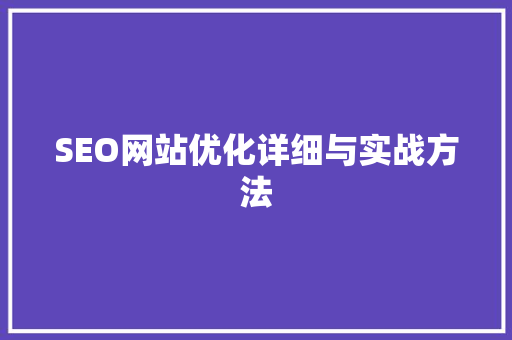 SEO网站优化详细与实战方法