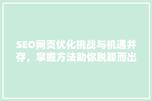 SEO网页优化挑战与机遇并存，掌握方法助你脱颖而出 小程序开发