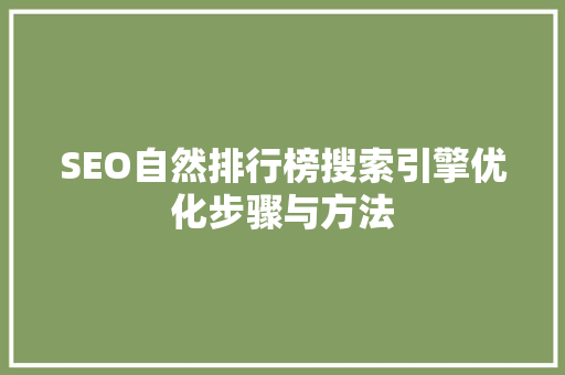 SEO自然排行榜搜索引擎优化步骤与方法 360搜优化
