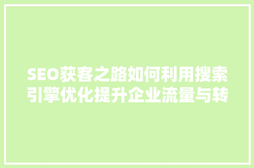 SEO获客之路如何利用搜索引擎优化提升企业流量与转化率 英文谷歌算法