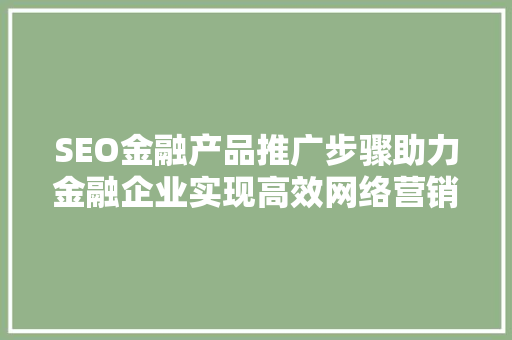 SEO金融产品推广步骤助力金融企业实现高效网络营销 seo技术