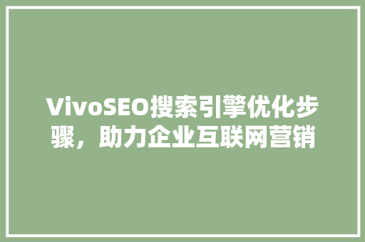 VivoSEO搜索引擎优化步骤，助力企业互联网营销 网站优化