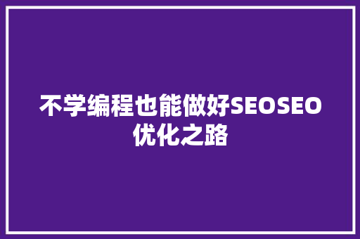 不学编程也能做好SEOSEO优化之路