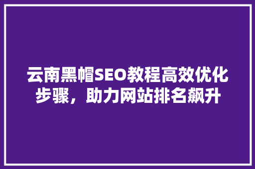 云南黑帽SEO教程高效优化步骤，助力网站排名飙升