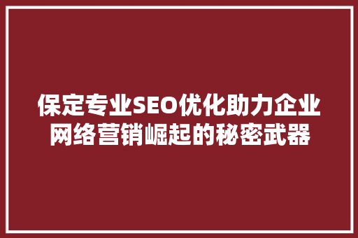 保定专业SEO优化助力企业网络营销崛起的秘密武器