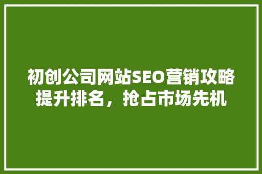初创公司网站SEO营销攻略提升排名，抢占市场先机