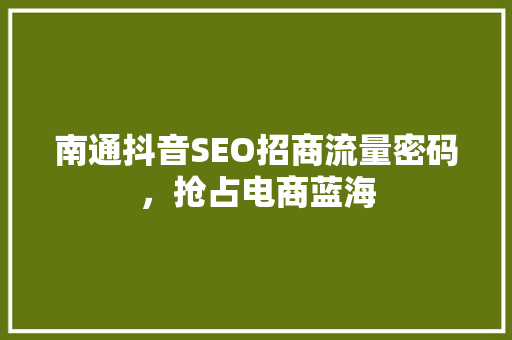 南通抖音SEO招商流量密码，抢占电商蓝海