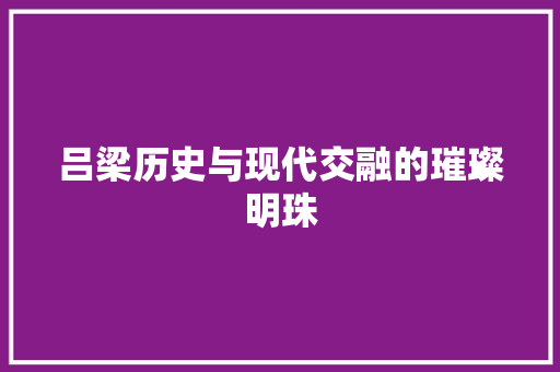 吕梁历史与现代交融的璀璨明珠 seo技术