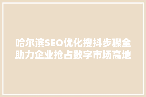 哈尔滨SEO优化搜抖步骤全助力企业抢占数字市场高地