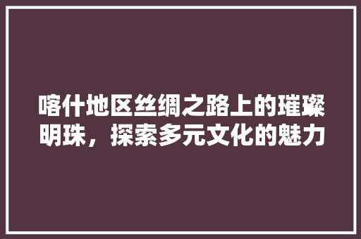 喀什地区丝绸之路上的璀璨明珠，探索多元文化的魅力所在