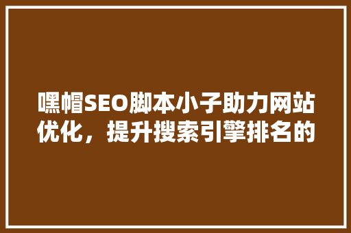 嘿帽SEO脚本小子助力网站优化，提升搜索引擎排名的神秘力量