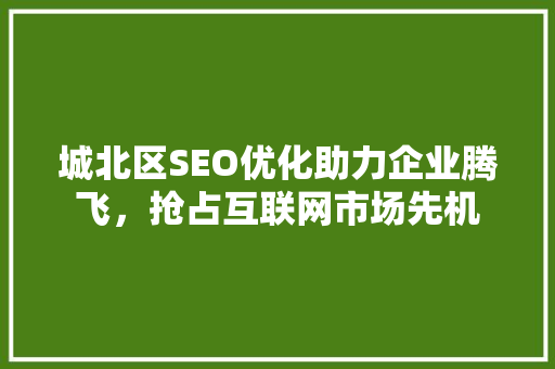 城北区SEO优化助力企业腾飞，抢占互联网市场先机